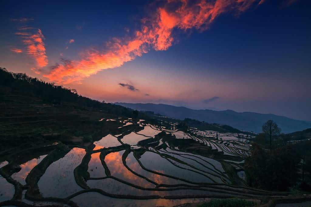 2013年印度金色数码巡回国际摄影展揭晓