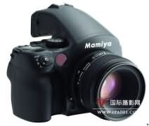 ������ DM40
