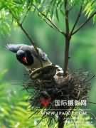《国家地理》摄影大赛中国赛区揭晓
