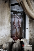 索尼2010国际摄影大赛获奖作品揭晓