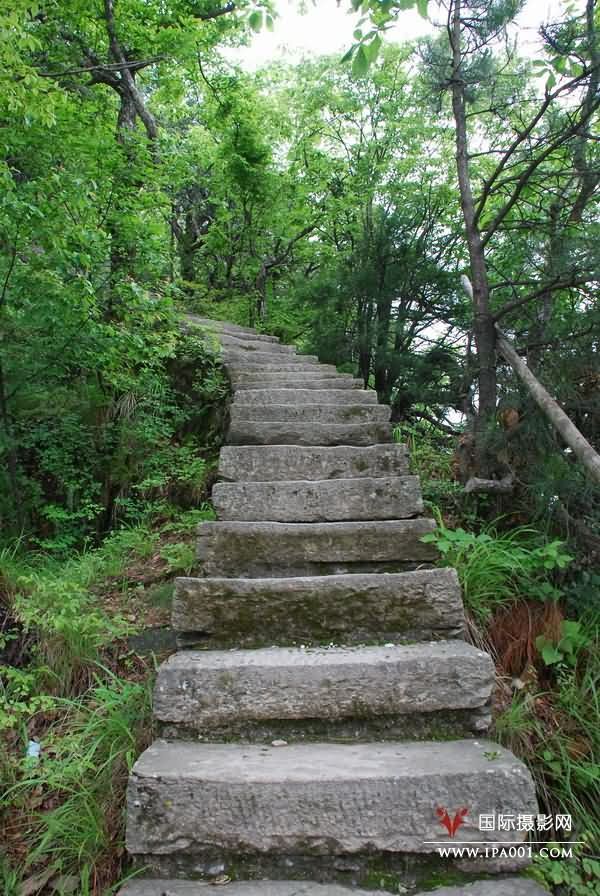 于飞龙_国际摄影网-国际摄影协会官方网站