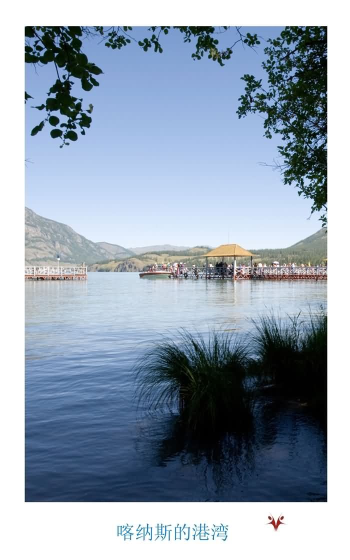 喀纳斯的港湾.jpg
