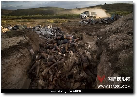 『中文摄影杂志』Pictures of the Year 2010：我们依然在仰望