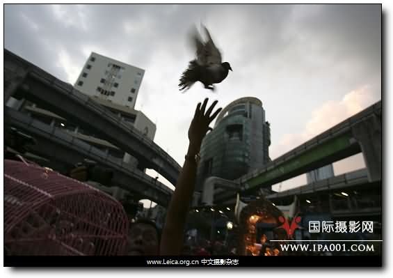 『中文摄影杂志』Pictures of the Year 2010：我们依然在仰望