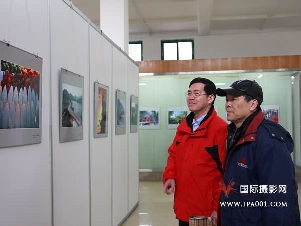 谢大才执行主席、林伟球副主席参观展览