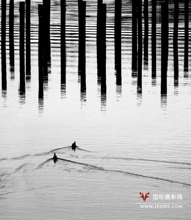 形影不离.jpg