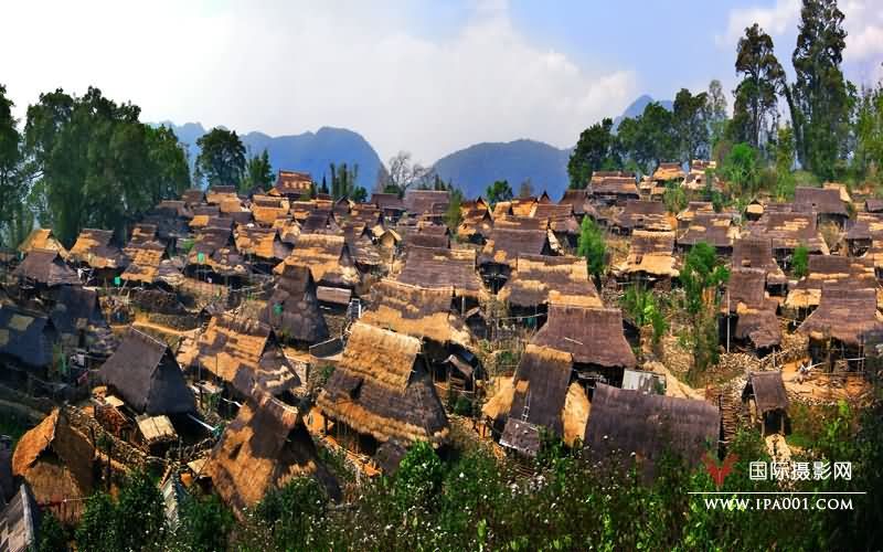 佤寨.jpg
