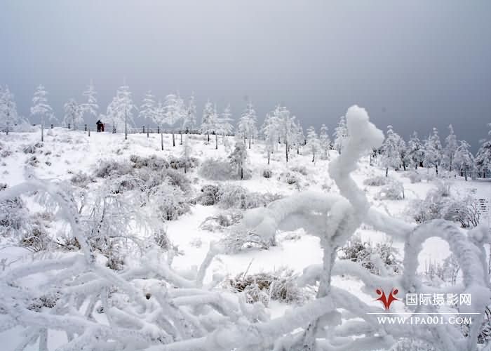 峨嵋山金顶雪景.jpg