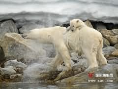 『国家地理』每日一图：Apr 10 - 4，2011