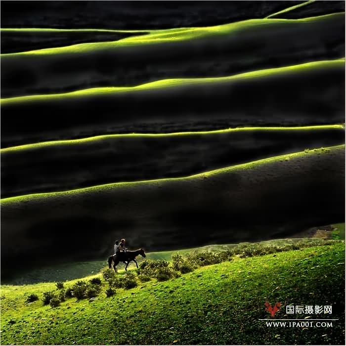 光韵 副本.jpg