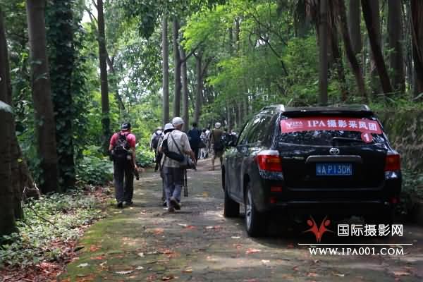当天还组织了会员在肇庆当地拍摄荷花及丹顶鹤等活动