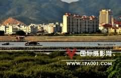 IPA会员赴恵东海边采风