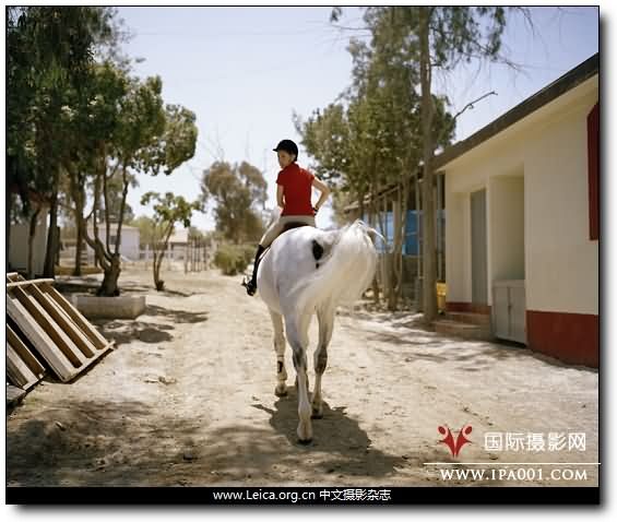 『摄影奖项』Magnum Expression Award 2010 『摄影奖项』Magnum Expression Award 2010