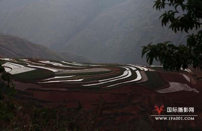 云南红土地.jpg