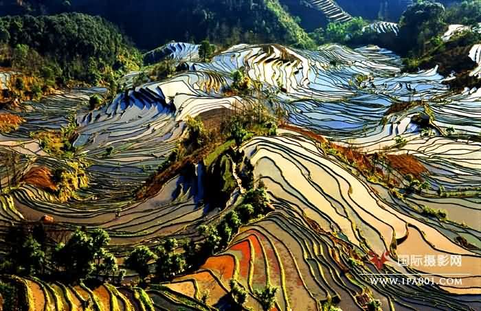 梯田.jpg