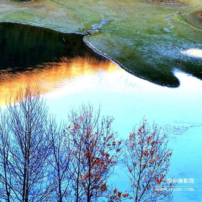 陈天栈