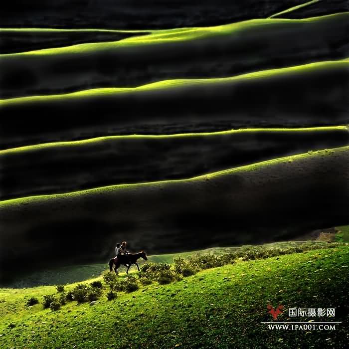 光韵  程兴华