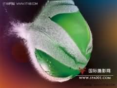 每秒1万亿帧 美研制出极速摄影机
