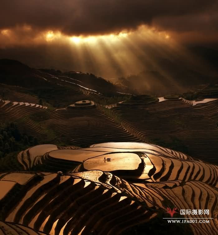 全年金奖：《天下龙脊》—杨秋红