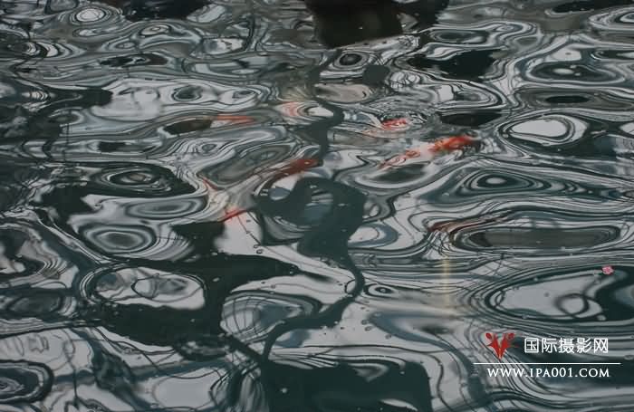 一点红.jpg
