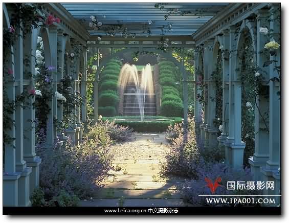 『摄影奖项』2012 全球年度园林摄影师奖获奖作品 『摄影奖项』2012 全球年度园林摄影师奖获奖作品