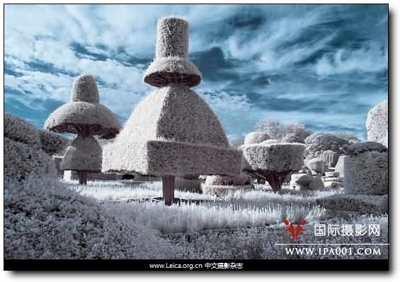 『摄影奖项』2012 全球年度园林摄影师奖获奖作品 『摄影奖项』2012 全球年度园林摄影师奖获奖作品