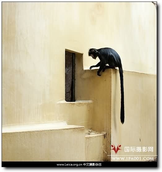『摄影奖项』2012 HSBC 摄影奖