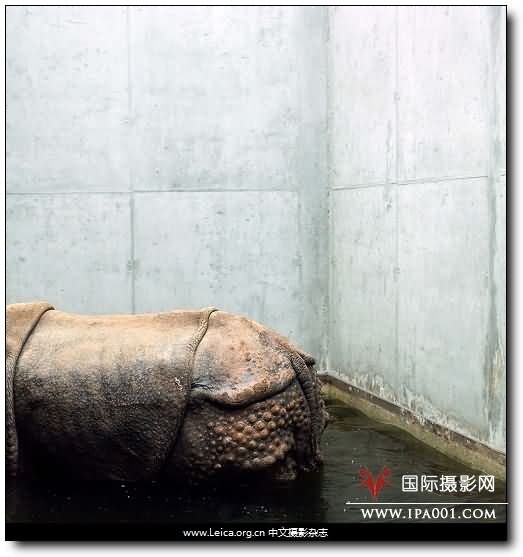 『摄影奖项』2012 HSBC 摄影奖