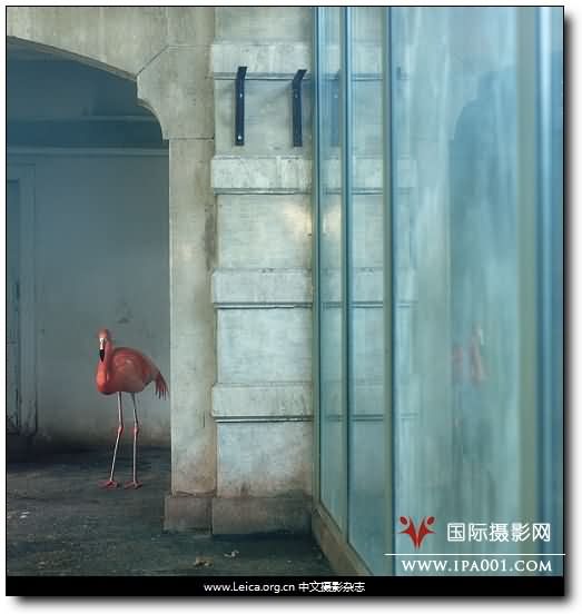 『摄影奖项』2012 HSBC 摄影奖