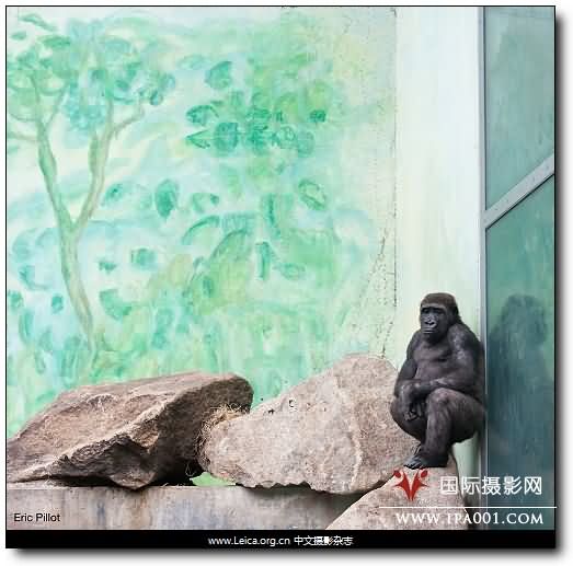 『摄影奖项』2012 HSBC 摄影奖