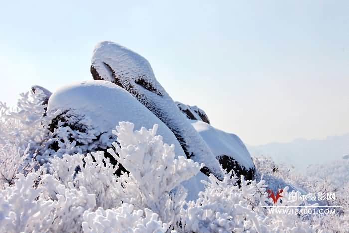 崂山雪淞.jpg