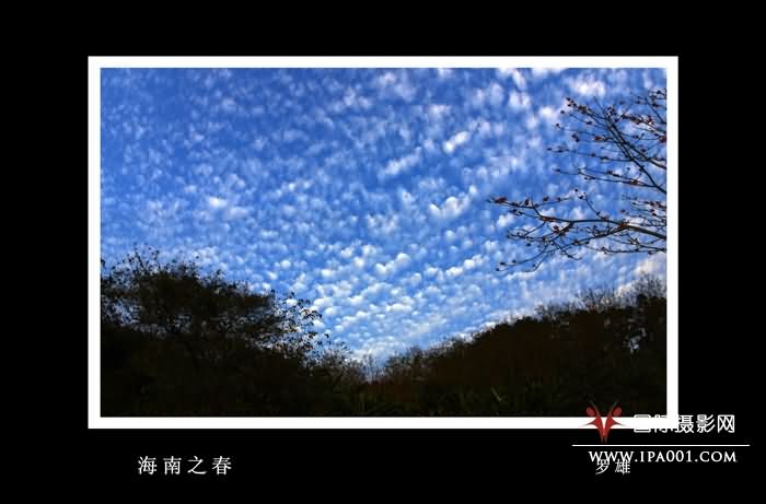 海南之春.jpg