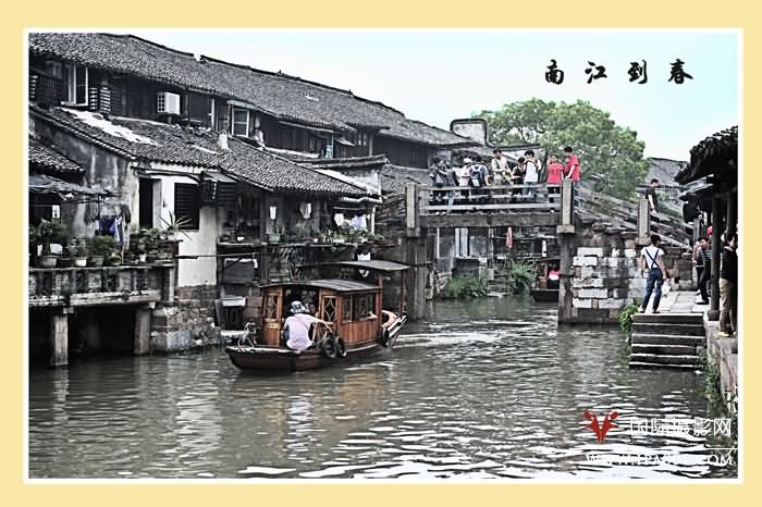 春到江南.jpg
