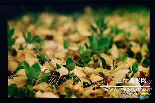 27寸大屏享受 三菱MDL271CV显示器评测