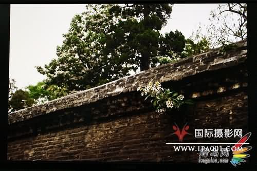 27寸大屏享受 三菱MDL271CV显示器评测