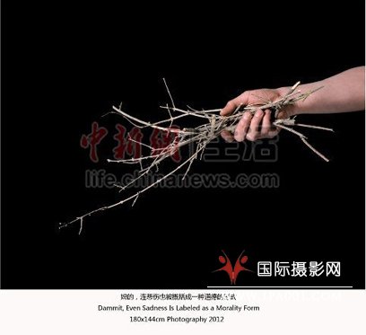 获奖作品：陈晓云《坠枯录》