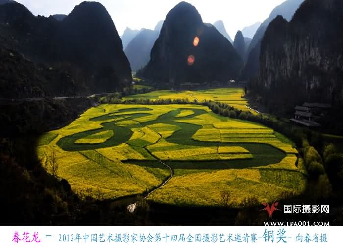 3 春花龙-2012年中国艺术摄影家协会第十四届全国摄影艺术邀请赛-铜奖-向春省摄.jpg
