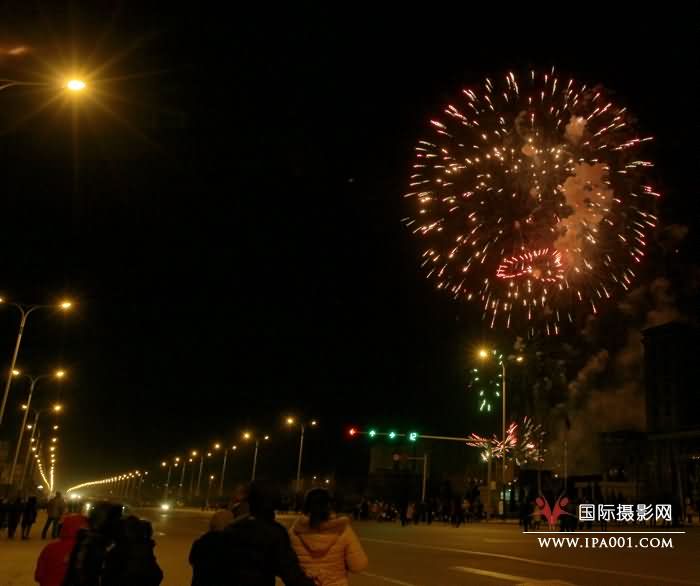 绽放.jpg