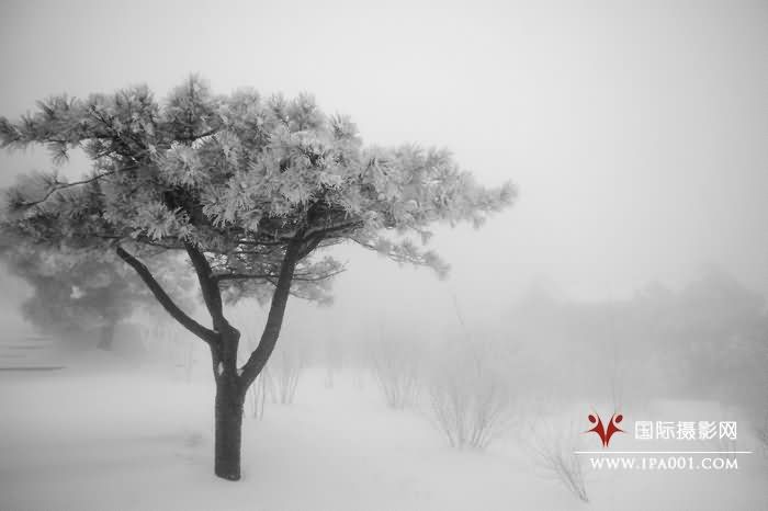 水墨雪凇.jpg