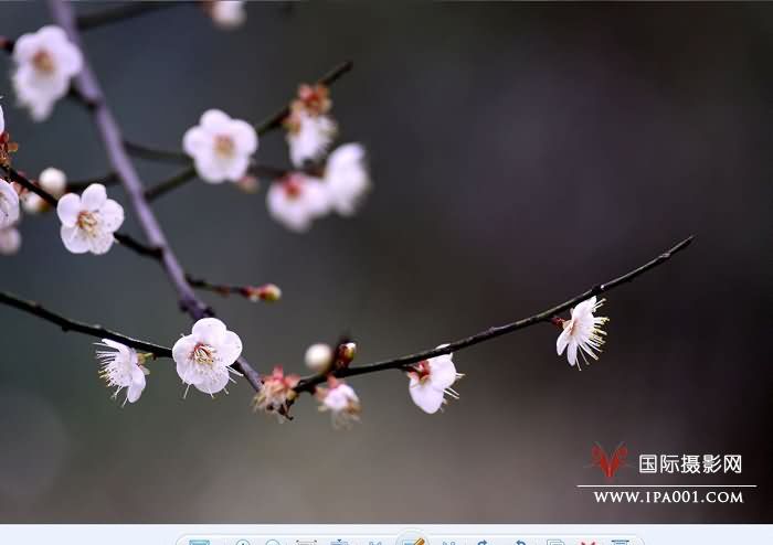 寒.绽.jpg