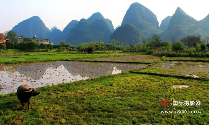 阳朔风光s.jpg