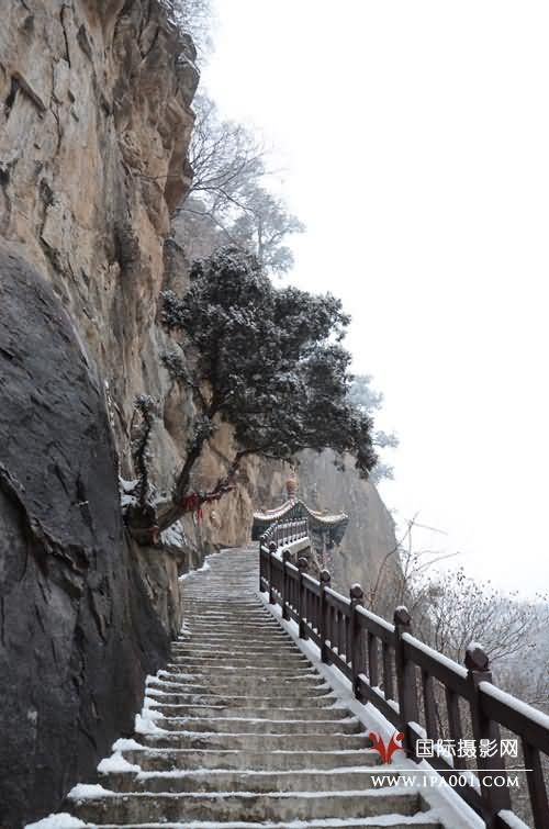 云路  