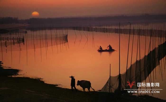 夕阳伴我归.jpg