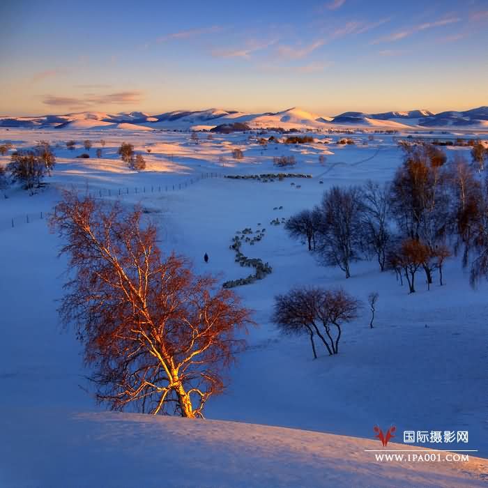 荣获澳门国际沙龙jpg.jpg
