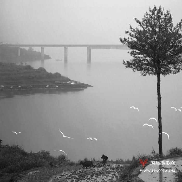 《水墨丹青》.jpg