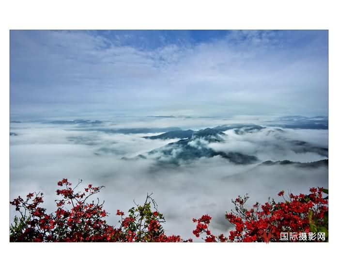 《春色云海》.jpg