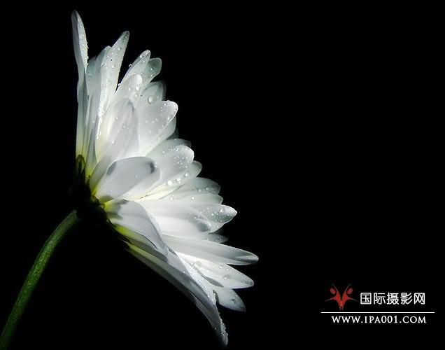 压光技巧：拍出背景暗，主体亮的照片