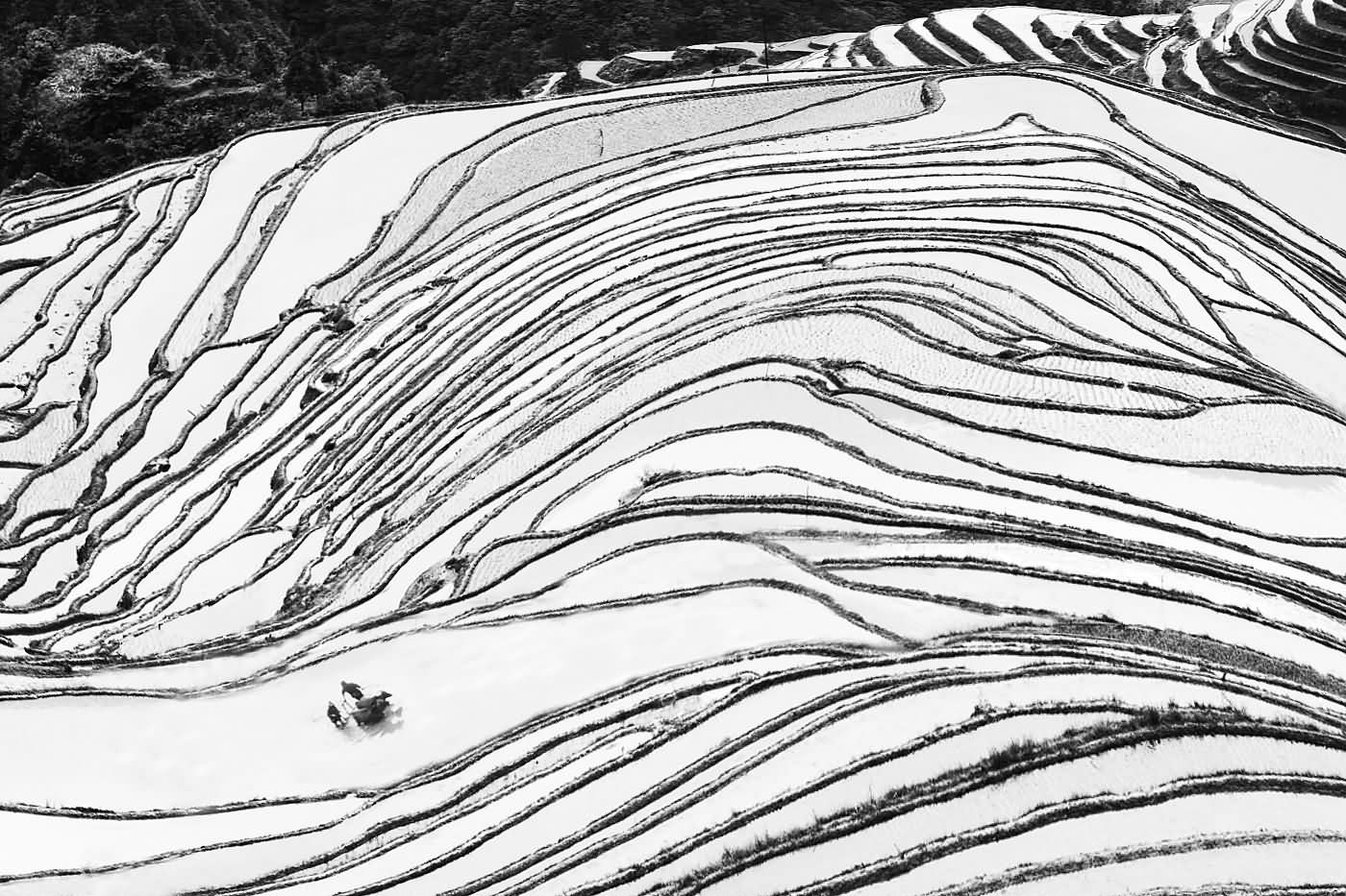 2013第1届FCC沙龙国际摄影展（阿根廷）结果揭晓
