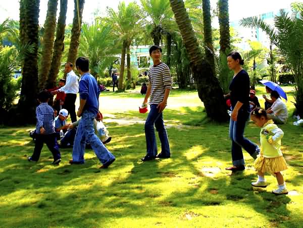 《哭泣的草坪》