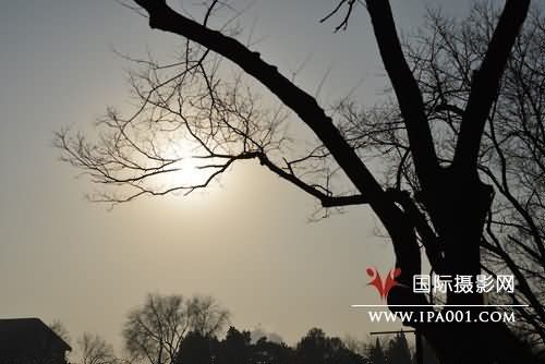 史上最强135镜头 蔡司Otus 55 1.4首测